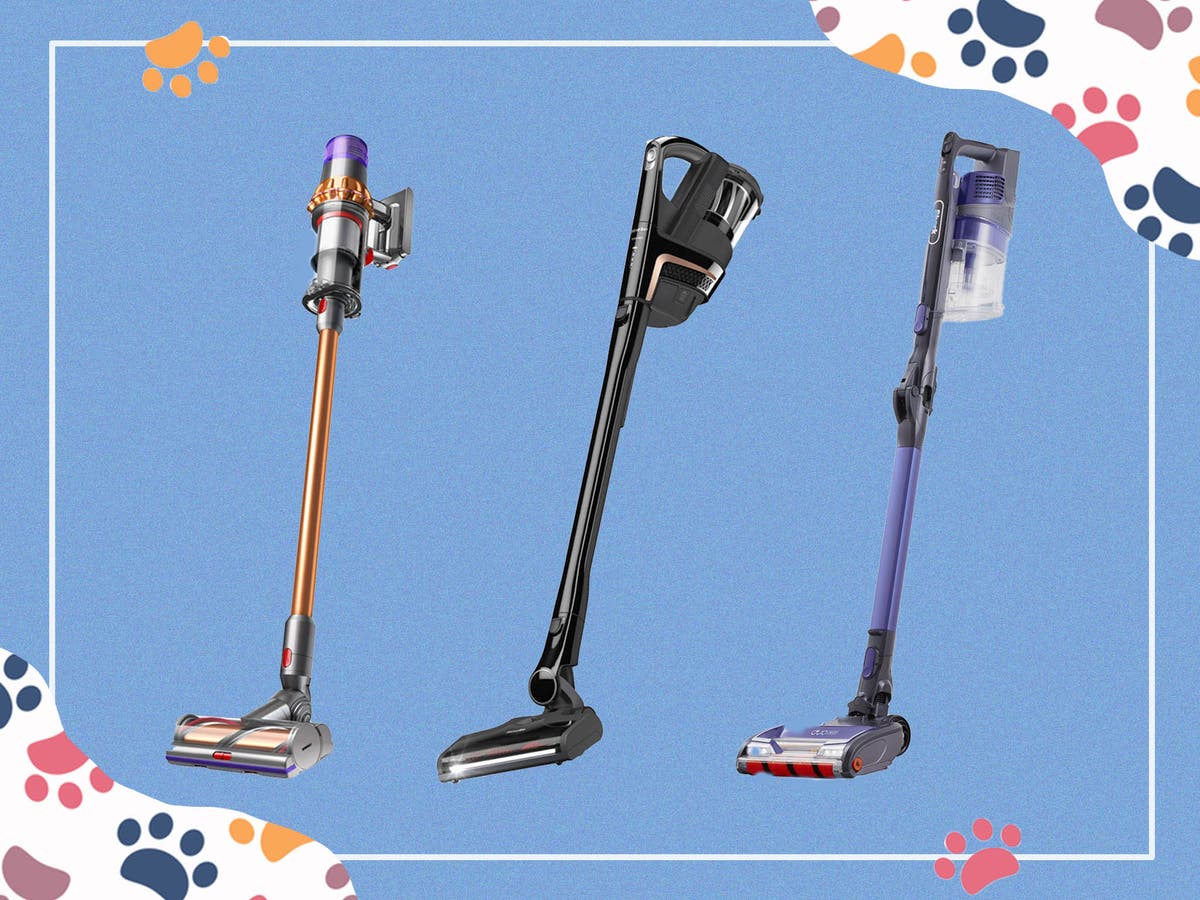 Best vacuums for pet hairs 2022 Tackle hair and dirt with ease The